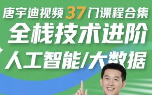 唐宇迪视频37门课程合集全栈技术进阶人工智能/大数据-财仔梦想资源网