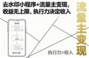去水印小程序+流量主变现，收益无上限，执行力决定收入-财仔梦想资源网