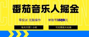 番茄音乐人掘金，单账号最高可撸1k+，可无限矩阵去做，零投入-财仔梦想资源网