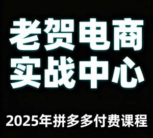 老贺电商2025年拼多多付费课程，用通俗易懂的方法告诉你多多怎么玩-财仔梦想资源网