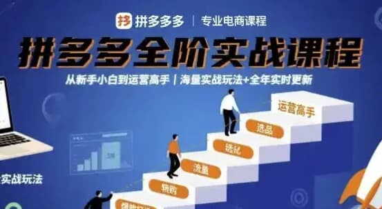 大炮拼多多全阶实战课程，从新手小白到运营高手，海量实战玩法+全年实时更新【2025年9月更新】-财仔梦想资源网