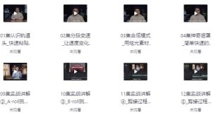 从入门到放弃，史上最全达芬奇硬核教程带你入坑-财仔梦想资源网