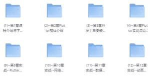 基于Flutter3.x实战跨平台短视频App混合开发【完结】-财仔梦想资源网