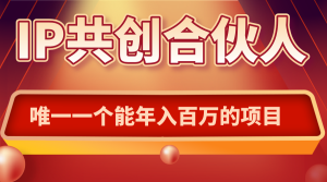 如何通过IP共创合伙人一起合伙“卖项目”-财仔梦想资源网