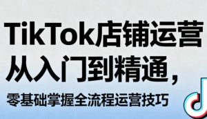 TikTok店铺运营从入门到精通，零基础掌握全流程运营技巧-财仔梦想资源网