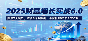 2025财富增长实战6.0,聚焦7大风口,结合6行业案例,小团队轻松年入200万!-财仔梦想资源网
