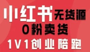 小红书无货源0粉电商课，开店准备、选品策略、笔记撰写、视频剪辑、数据分析、账号打造、资料文档-财仔梦想资源网