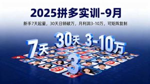 2025拼多多实训-9月：新手7天起量,30天日销破万,月利润3-10万,可矩阵复制-财仔梦想资源网