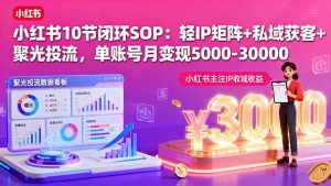 小红书10节闭环SOP：轻IP矩阵+私域获客+聚光投流，单账号月变现5000-30000-财仔梦想资源网