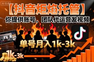 【抖音炬焰托管】你提供账号，团队代运营发视频，单号月入1k+【揭秘】-财仔梦想资源网