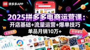 2025拼多多电商运营课：开店基础+流量运营+爆单技巧，单品月销10万+-财仔梦想资源网