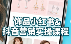 抖音+小红书饰品卖货：货源、开店、内容全教会-财仔梦想资源网