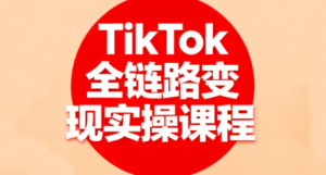 小杨老师·TikTok全链路变现实操课程-财仔梦想资源网