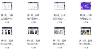 抖音好物带货实操课程-财仔梦想资源网