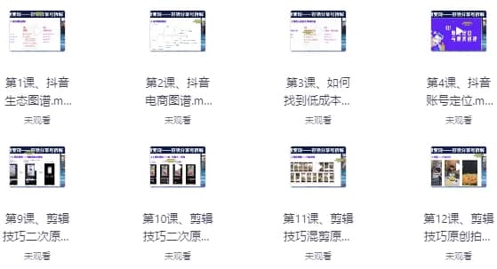 抖音好物带货实操课程-财仔梦想资源网