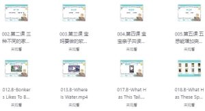伊森妈妈英语全套合集-财仔梦想资源网