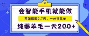 手机项目，二十秒一单，纯薅羊毛一天2张+做就有【揭秘】-财仔梦想资源网