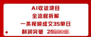 AI收徒项目全流程拆解一条视频成交35单日利润突破1k+-财仔梦想资源网