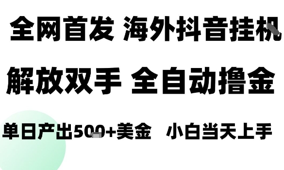 海外抖音无人直播，单日产出1.5k+，长期稳定，新手可玩，无脑操作【揭秘】-财仔梦想资源网