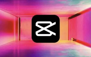 手机拍摄剪映剪辑专题视频-财仔梦想资源网