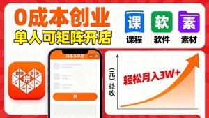 拼多多虚拟电商，0成本，单人可矩阵开店，轻松月入3W+-财仔梦想资源网