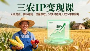 三农IP变现课，人设定位、脚本结构、流量获取，30天打造月入5万+带货账号-财仔梦想资源网