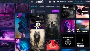 Walli4Kv2.12.894K壁纸，原创和高品质高清壁纸的集合，解锁高级版-财仔梦想资源网