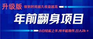 项目讲解年入百万：小白轻松上手，纯手机操作.日入2k+-财仔梦想资源网
