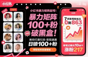 小红书暴力矩阵起号，教你打通引流-变现速通，日锁100+粉，破流量黑盒-财仔梦想资源网