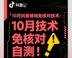 10月抖音掉线免核对技术，不保证百分百，自测-财仔梦想资源网