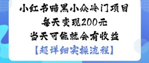 小红书暗黑小众冷门项目每天变现2张当天可能就会有收益-财仔梦想资源网