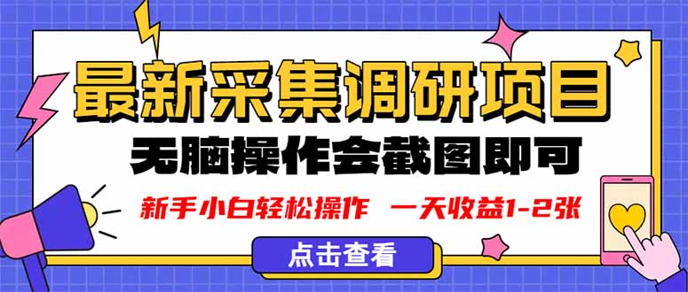 新版采集调研项目，截图上传即可，无脑操作，日收益1-2张-财仔梦想资源网