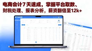 电商会计7天速成，掌握平台取数、财税处理、报表分析，薪资翻倍至12k+-财仔梦想资源网
