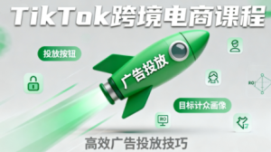 小林哥·TikTok跨境电商全流程实操课-财仔梦想资源网