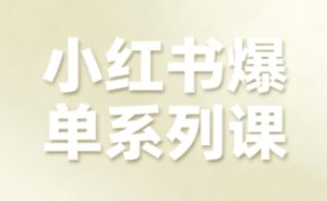小红书爆单系列课，聚焦小红书电商全链路增长-财仔梦想资源网