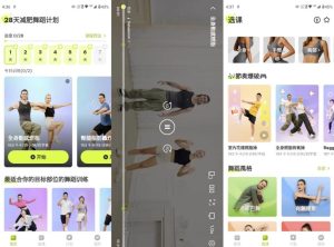 DanceFitme减肥舞蹈v4.21.0高级版-财仔梦想资源网