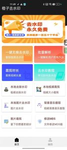 橙子去水印v3.18支持批量解析150+平台通用-财仔梦想资源网