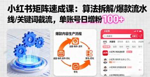 小红书矩阵起号速成课：算法拆解/爆款流水线/关键词截流单账号日增粉100+-财仔梦想资源网