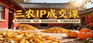 三农IP成交课：从定位到流量、内容，再到拍摄剪辑，打造能变现的IP-财仔梦想资源网
