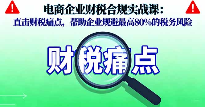 电商企业财税合规实战课，直击财税痛点，帮助企业规避最高80%的税务风险-财仔梦想资源网
