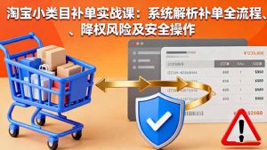 淘宝小类目补单实战课：系统解析补单全流程、降权风险及安全操作-财仔梦想资源网