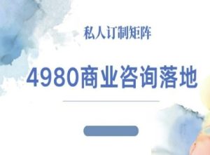 4980商业咨询师落地课程-ip运营高客单教程-财仔梦想资源网