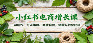 小红书电商增长课：AI创作、打法策略、商家自营，爆款与转化秘籍-财仔梦想资源网