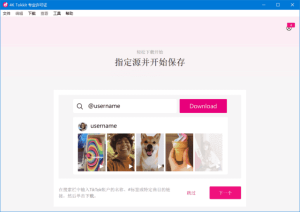 4KTokkit(tiktok视频下载器)v25.4.0.1066多语便携版-财仔梦想资源网