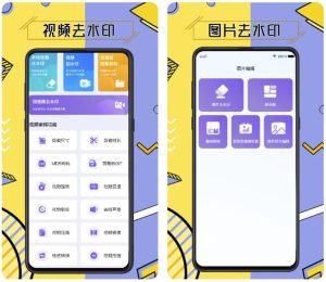 免费视频去水印擦除大师v3.7.6会员版-财仔梦想资源网