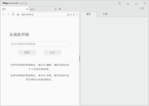 VCapDownloader(视频下载工具)v0.1.37.6739多语便携版-财仔梦想资源网