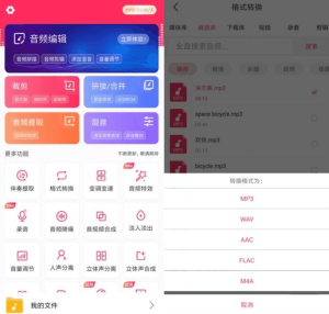 音频剪辑v22.2.55高级版-财仔梦想资源网