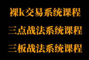 半山猎人三套系统课程(裸K体系、三点体系、三板体系)-财仔梦想资源网