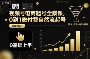 视频号电商起号全案课，0到1微付费自然流起号-财仔梦想资源网
