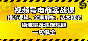 视频号电商实战课：推流逻辑、全案解析，话术框架，稳流量及违规规避等-财仔梦想资源网